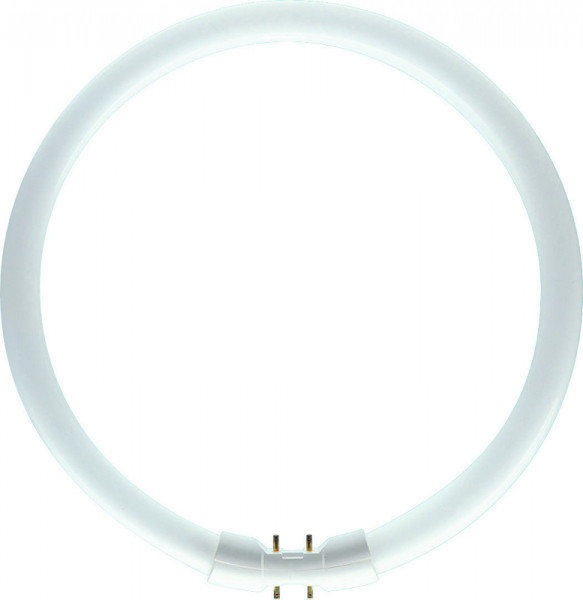 Leuchtstofflampe Ringform 360° 22W/840 kaltweiß 1800lm 2GX13 dimmbar