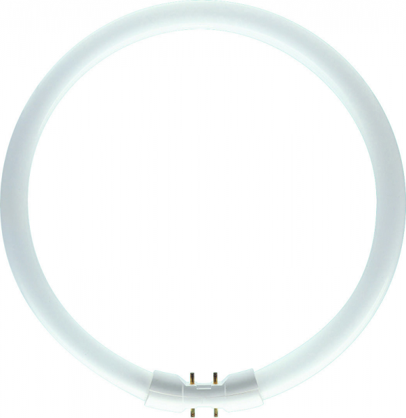 Leuchtstofflampe Ringform 360° 55W/840 kaltweiß 4210lm 2GX13 dimmbar