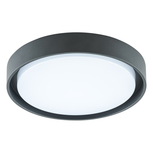 EVN LED Leuchte anthrazit rund 250x65mm 14W 3000K 1205lm >80° 100-240V IP54