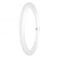 Osram / Ledvance LED Tube Ring T9C 110° Value 18,3-32W/830 warmweiß 2000lm G10q KVGAC 220-240V 300mm
