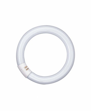 Osram L 22W/640 C Ringform Cool White G10q